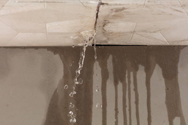 Professional Water Damage Repair technician working in Sequim, WA